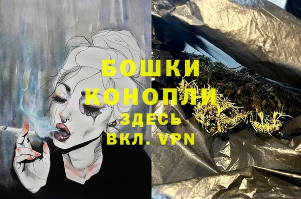 индика Белоозёрский