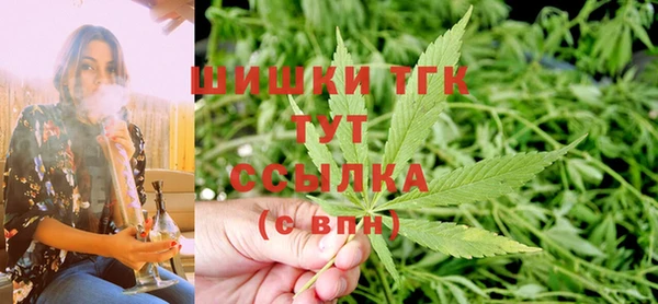 индика Белоозёрский