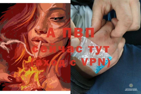 гидропоника Белокуриха