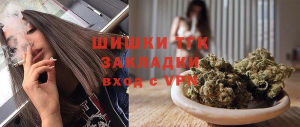 индика Белоозёрский