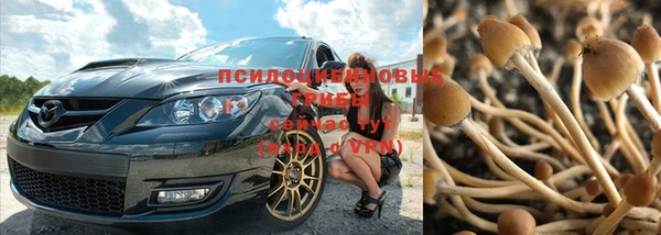 mix Богородицк
