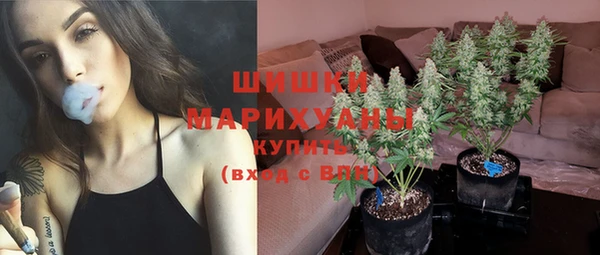 каннабис Богданович